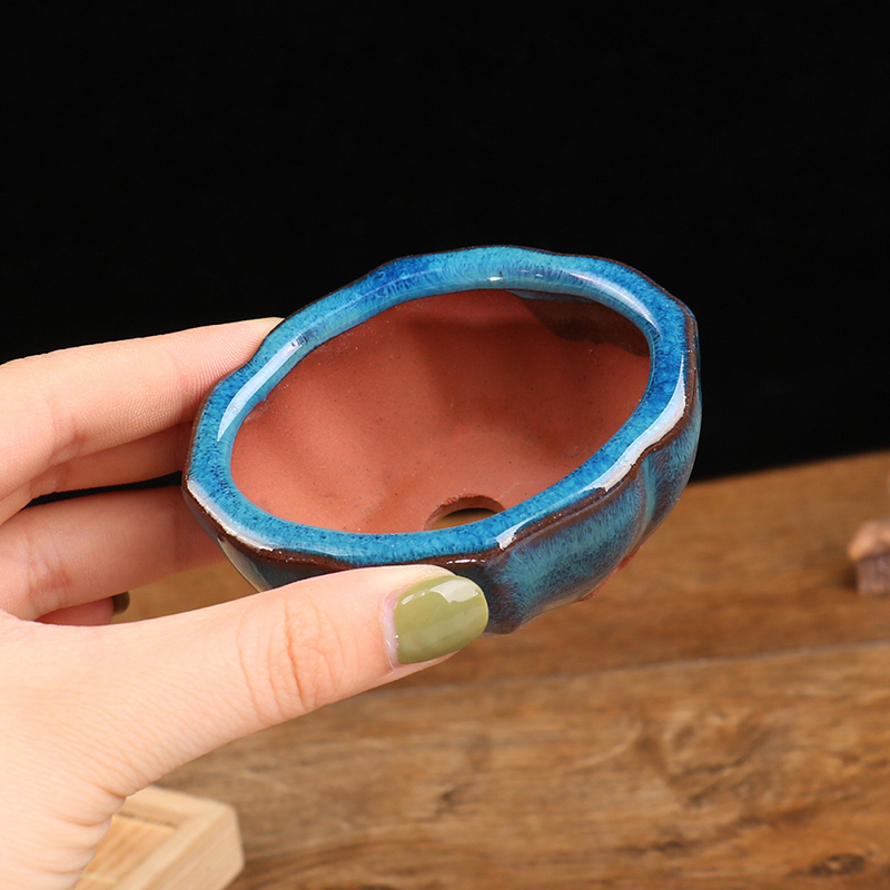 Training Pot Ceramic - Maceta de bonsái de estilo chino,