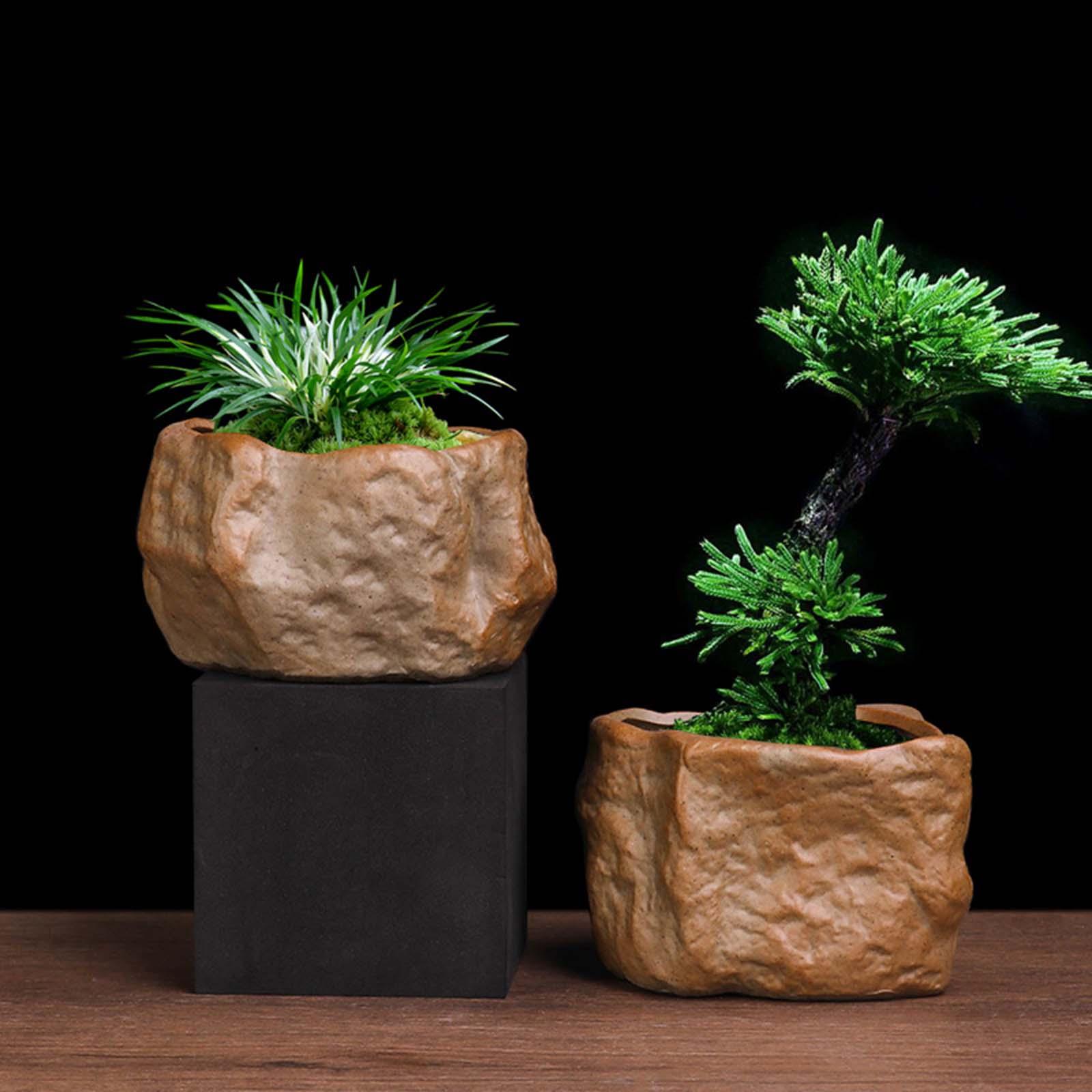 Training Pot Ceramic - Maceta de cerámica para suculentas, ligera,