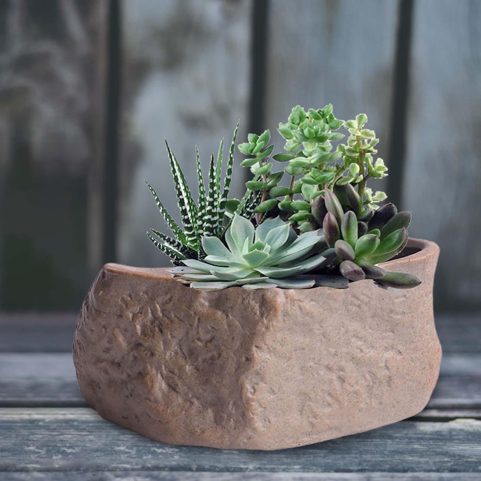 Training Pot Ceramic - Maceta de Cerámica Ligera para Suculentas,