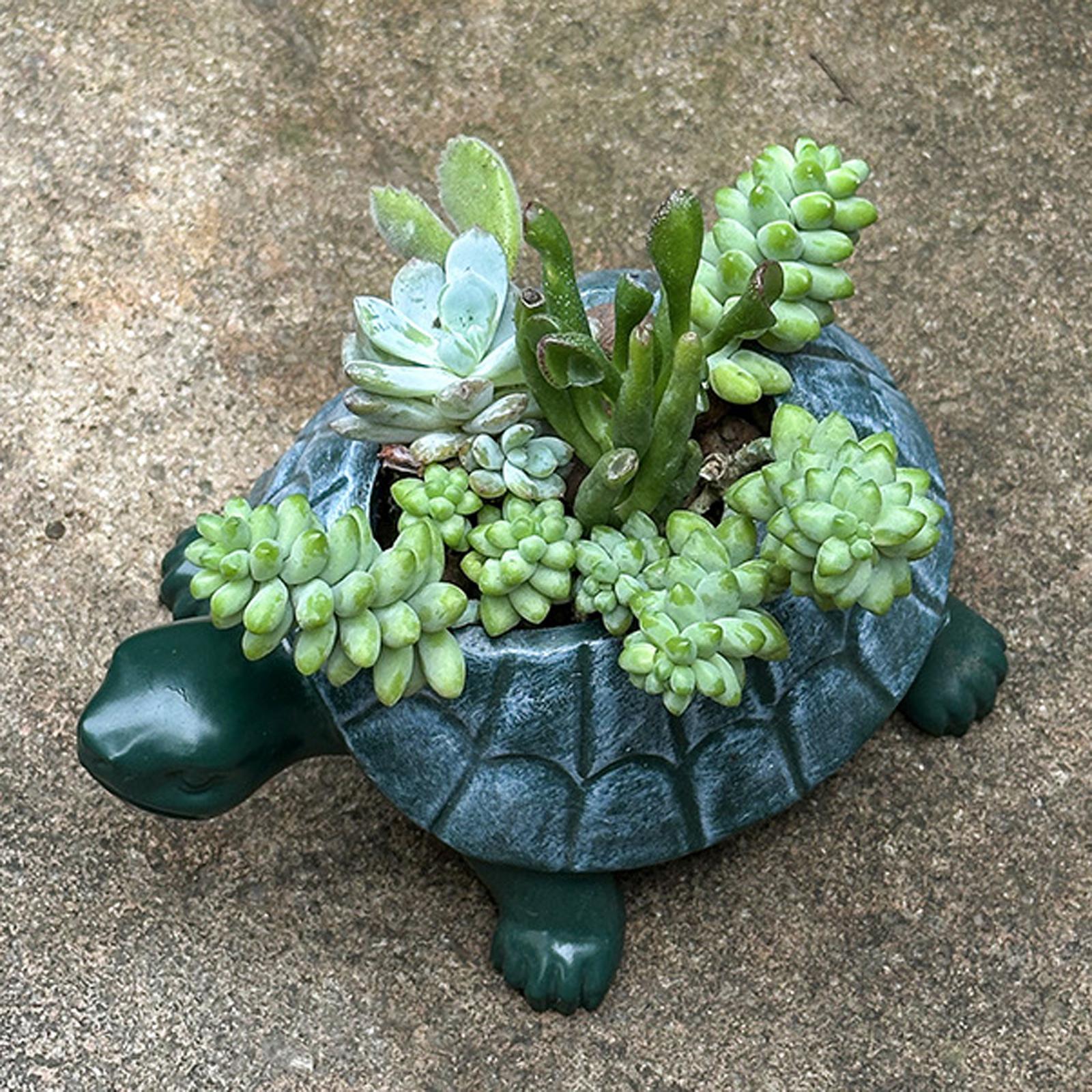 Bonsai Garden Restaurant - Maceta con Forma de Tortuga, Maceta