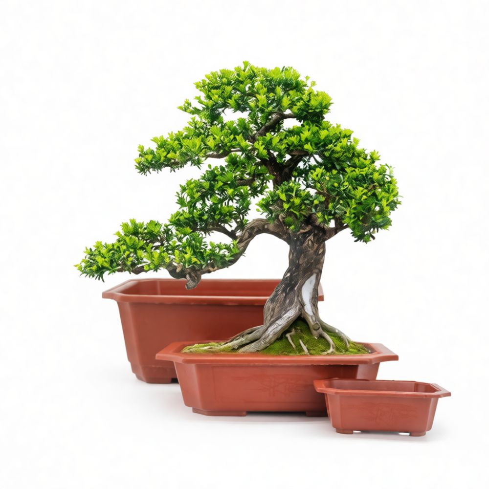 Bonsai Garden Display - Maceta decorativa rectangular de plástico para