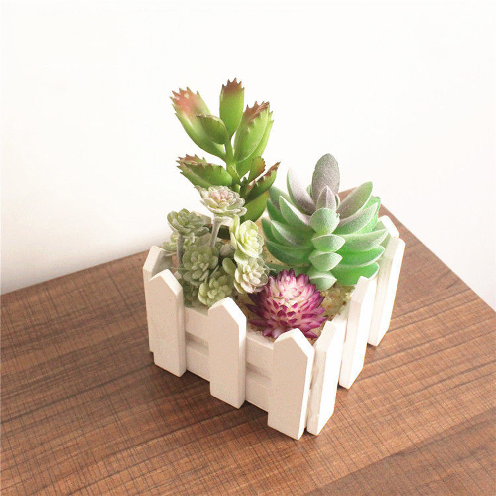 Plantas Suculentas en Maceta d - Bonsai Garden Restaurant reseña y precio