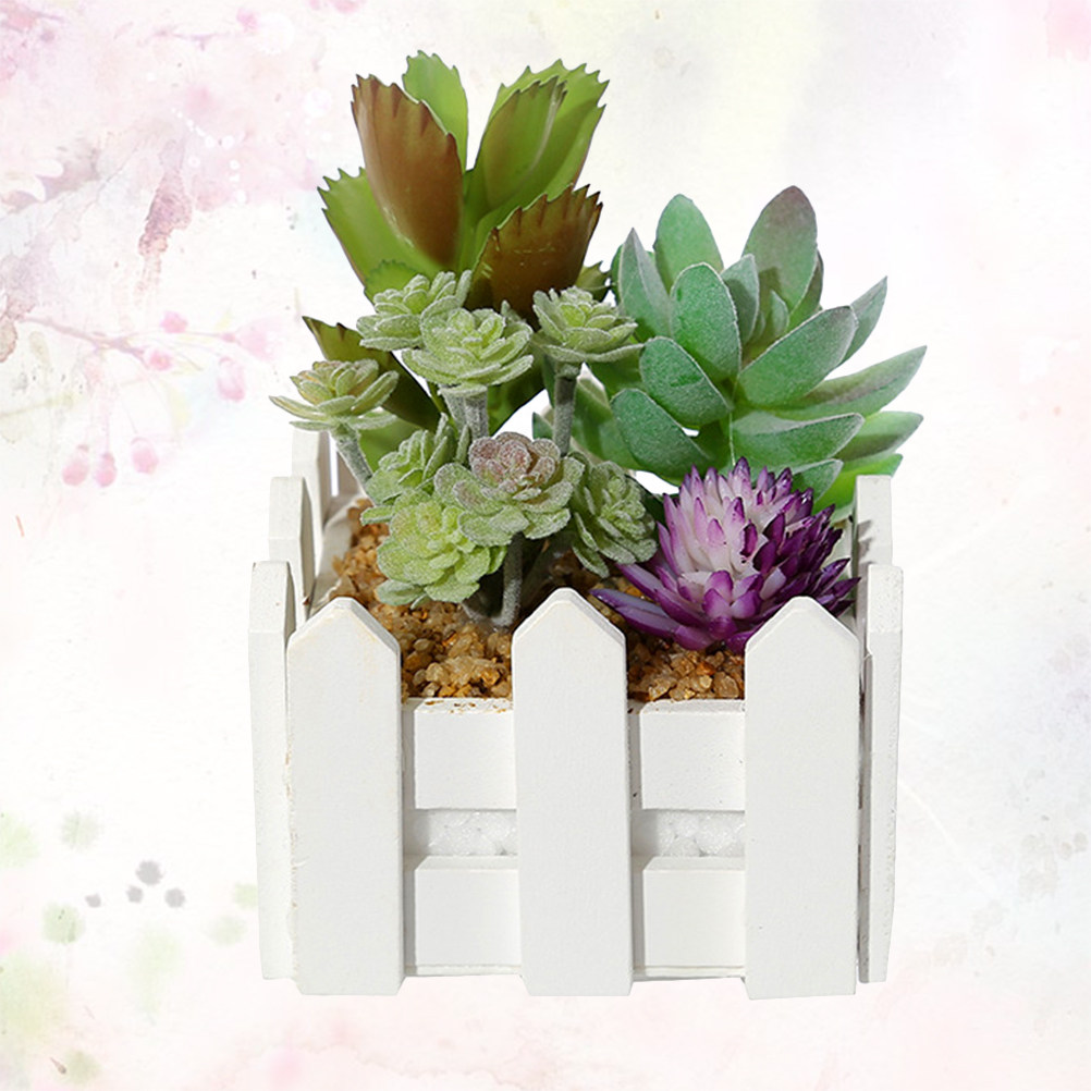 Plantas Suculentas en Maceta d - Bonsai Garden Restaurant reseña y precio