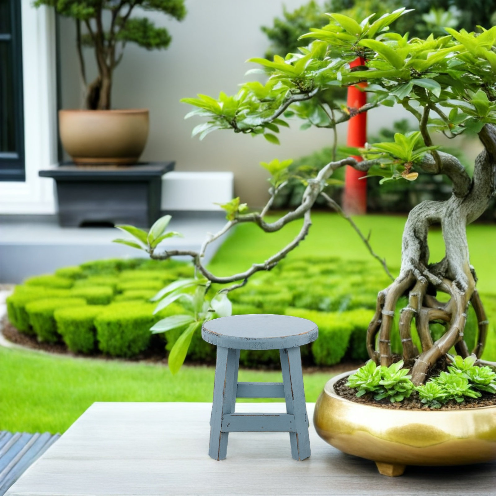 Soporte para macetas con forma - Bonsai Garden Display reseña y precio
