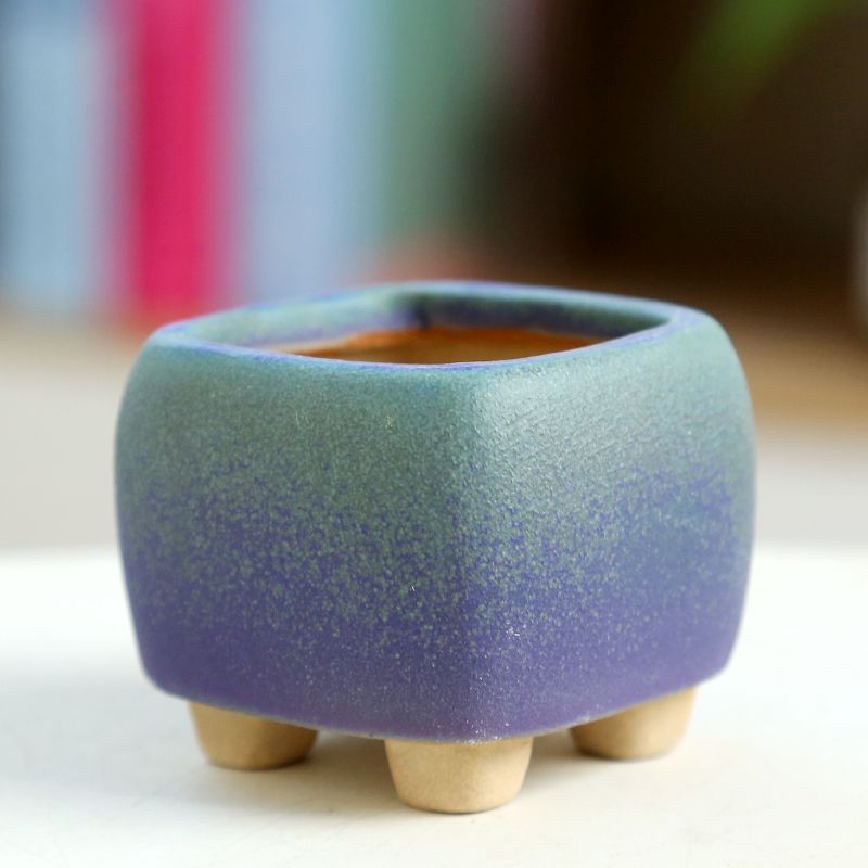 Mini maceta carnosa de cerámic - Training Pot Ceramic reseña y precio