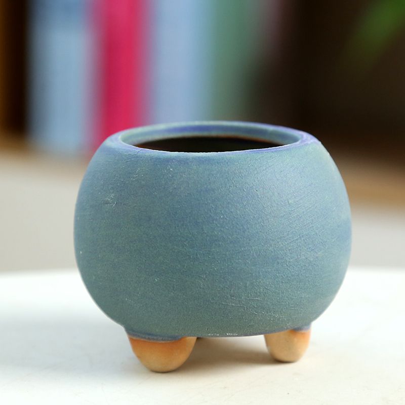 Mini maceta carnosa de cerámic - Training Pot Ceramic reseña y precio