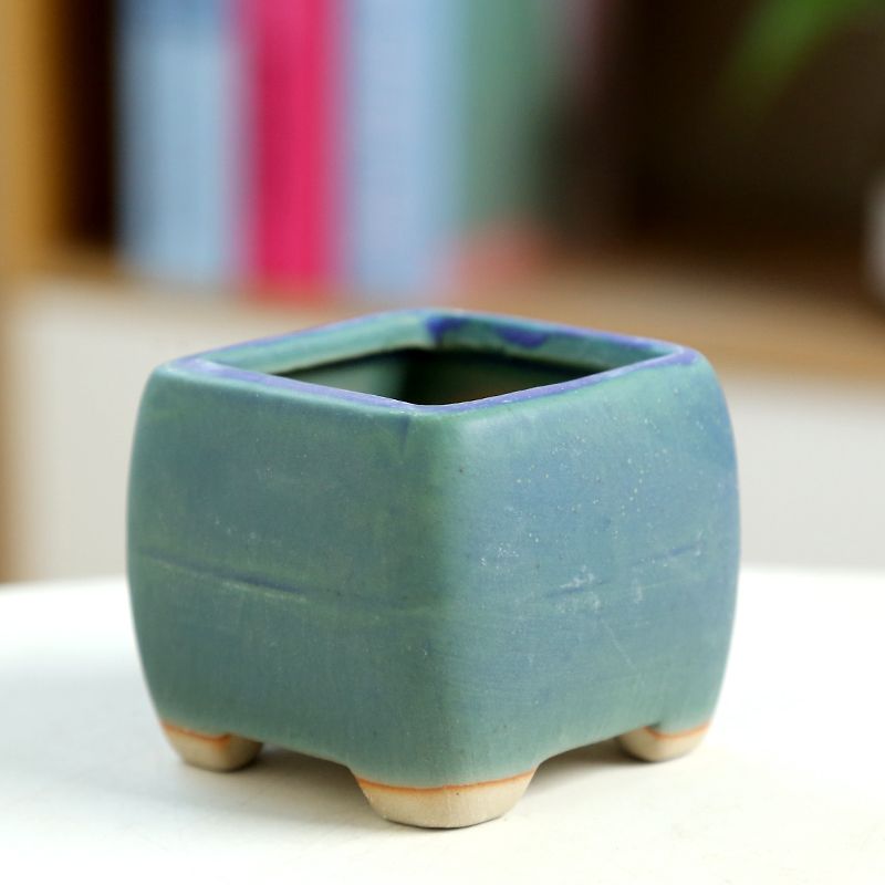 Mini maceta carnosa de cerámic - Training Pot Ceramic reseña y precio