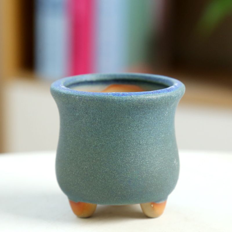 Mini maceta carnosa de cerámic - Training Pot Ceramic reseña y precio