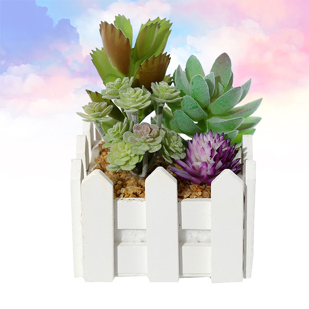 Macetas de suculentas artifici - Bonsai Garden Restaurant reseña y precio