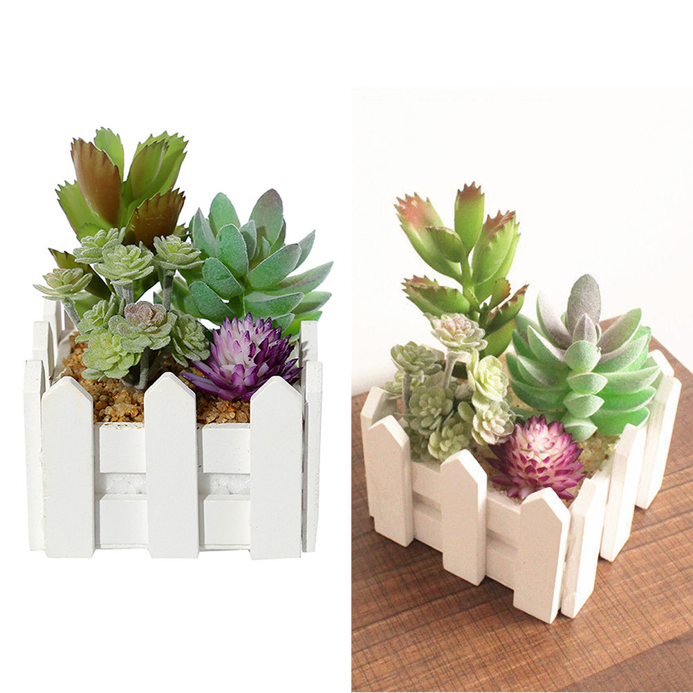 Macetas de suculentas artifici - Bonsai Garden Restaurant reseña y precio