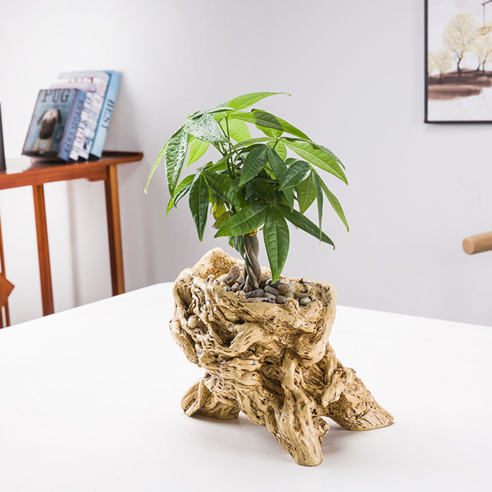Maceta con forma de raíz de ár - Bonsai Garden Display reseña y precio