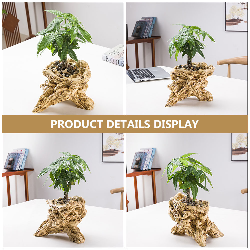 Maceta con forma de raíz de ár - Bonsai Garden Display reseña y precio