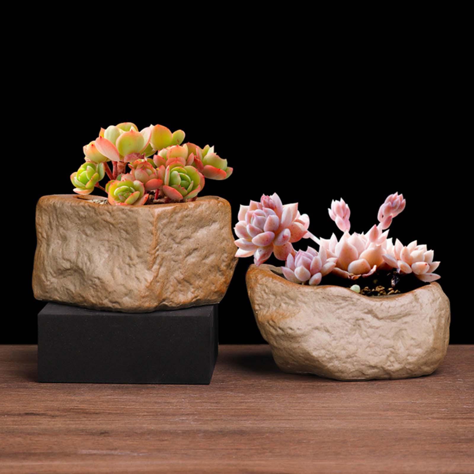 Maceta de cerámica para sucule - Training Pot Ceramic reseña y precio