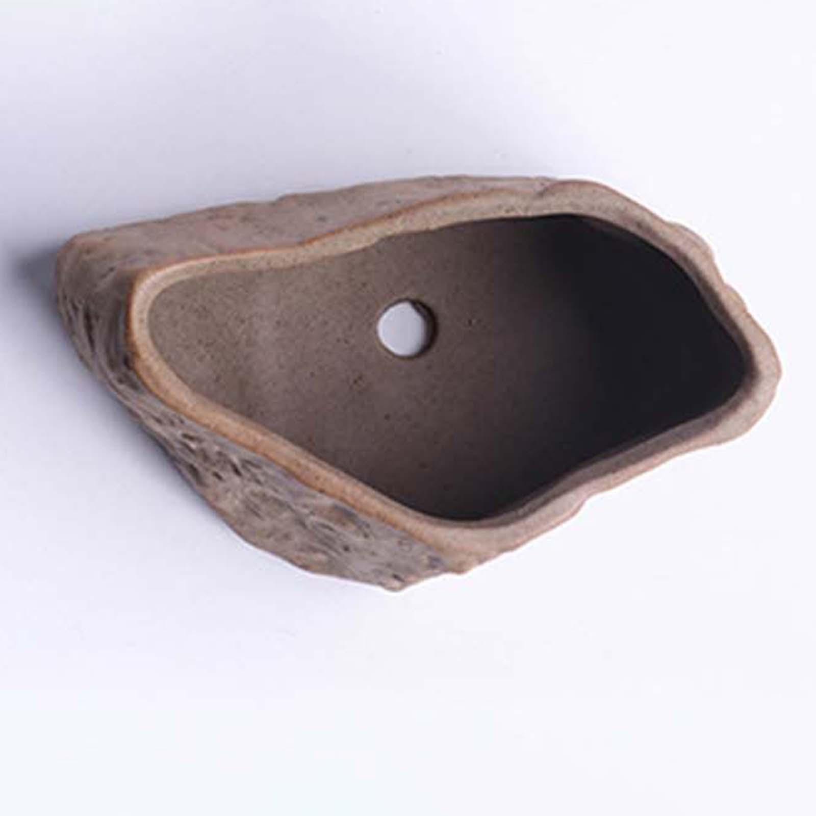 Maceta de cerámica para sucule - Training Pot Ceramic reseña y precio