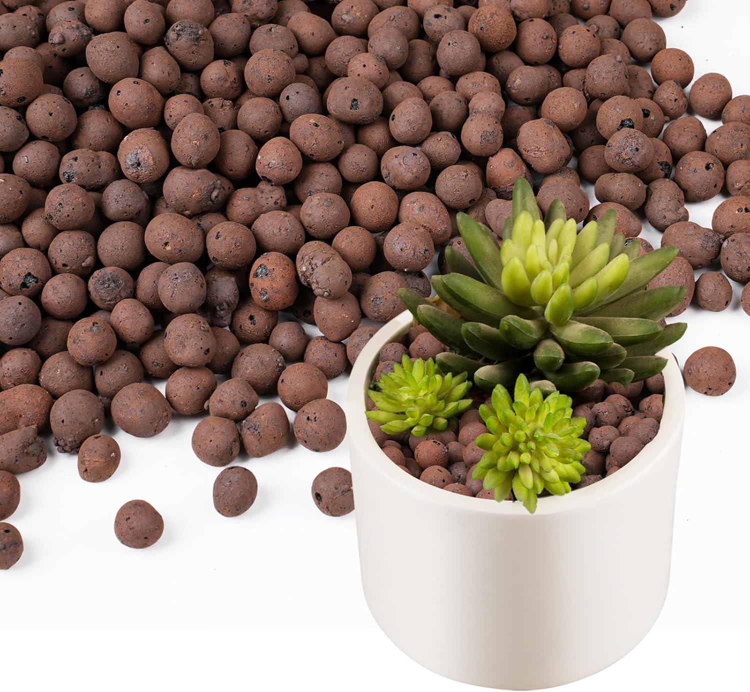 100/200G de Bolitas de Arcilla - Sphagnum Moss Bag reseña y precio