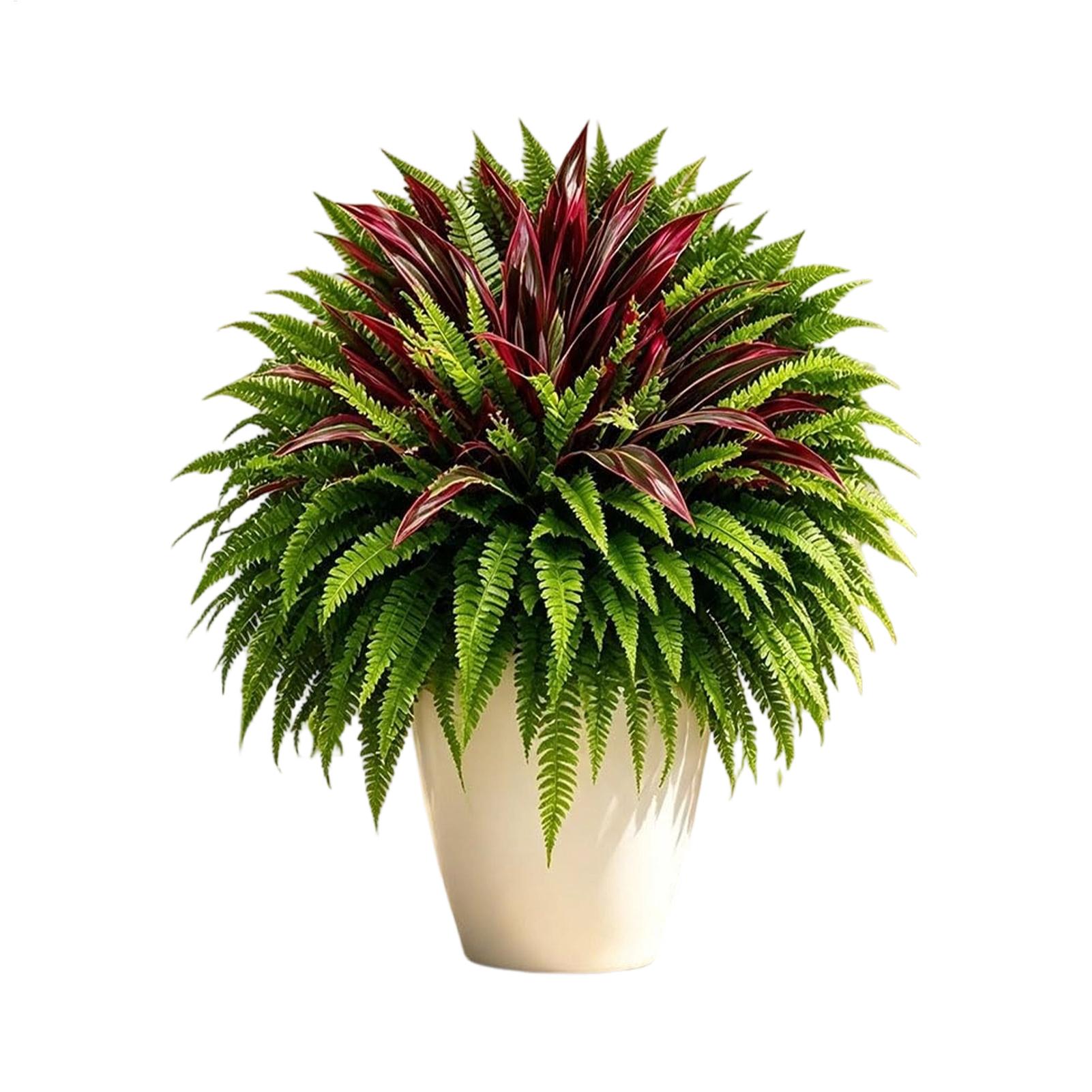 Falsas Helechos Resistentes a  - Bonsai Garden Restaurant reseña y precio