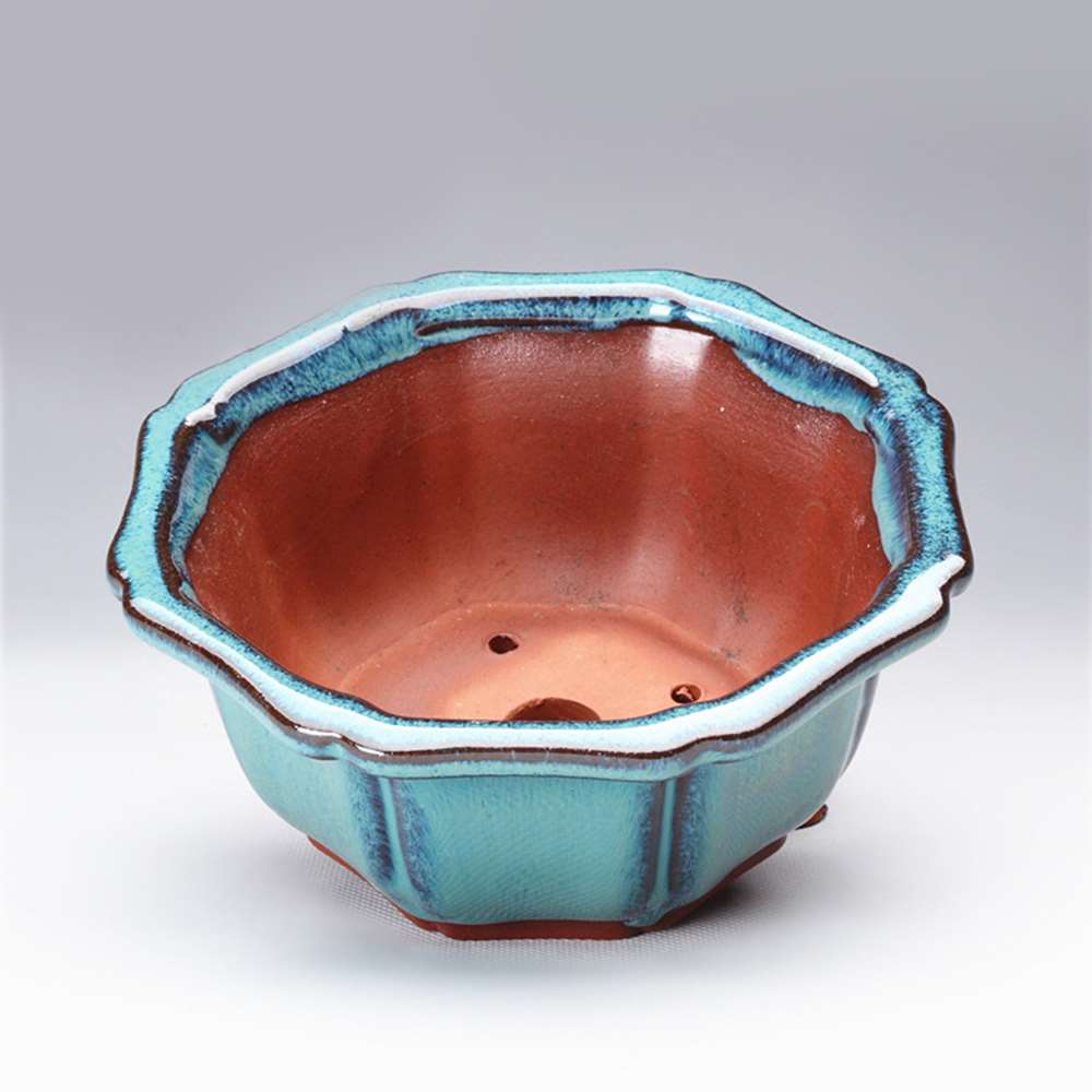 Macetas para bonsái de estilo  - Training Pot Ceramic reseña y precio
