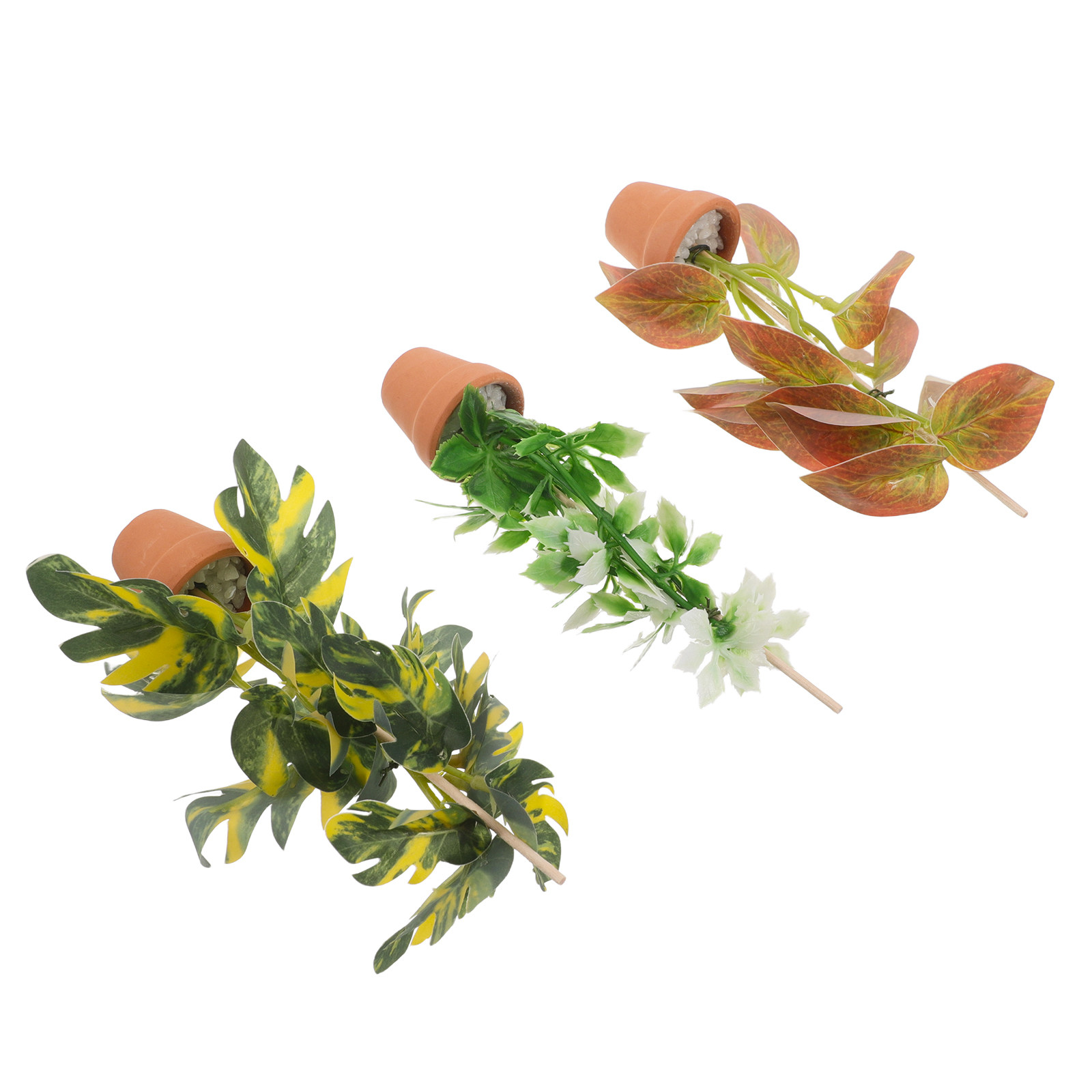 Juego de 3 plantas en maceta e - Bonsai Garden Display reseña y precio