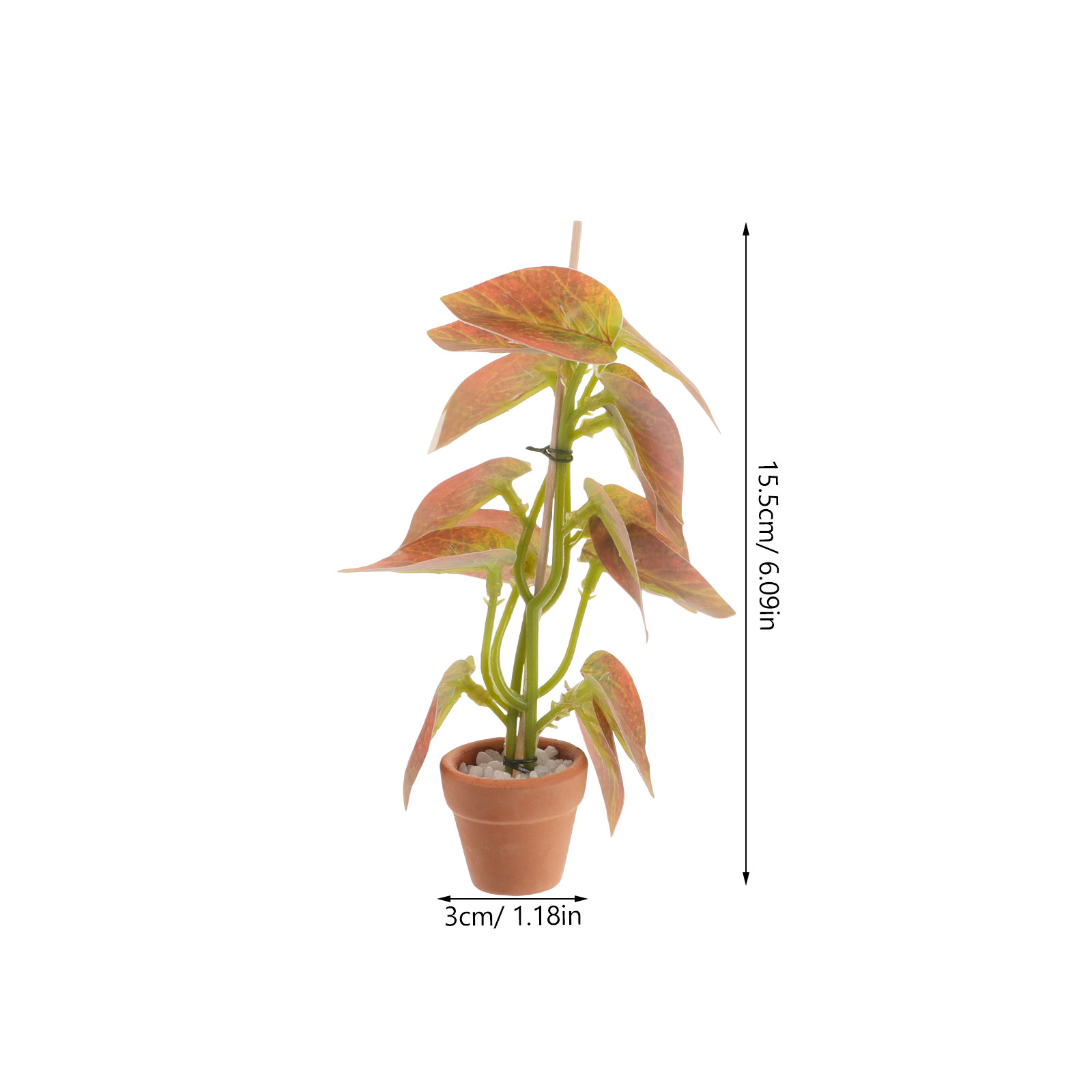 Juego de 3 plantas en maceta e - Bonsai Garden Display reseña y precio