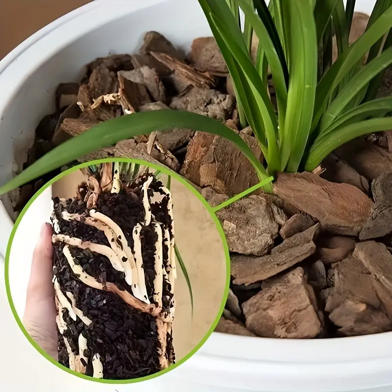 Corteza de Pino para Macetas d - Sphagnum Moss Bag reseña y precio